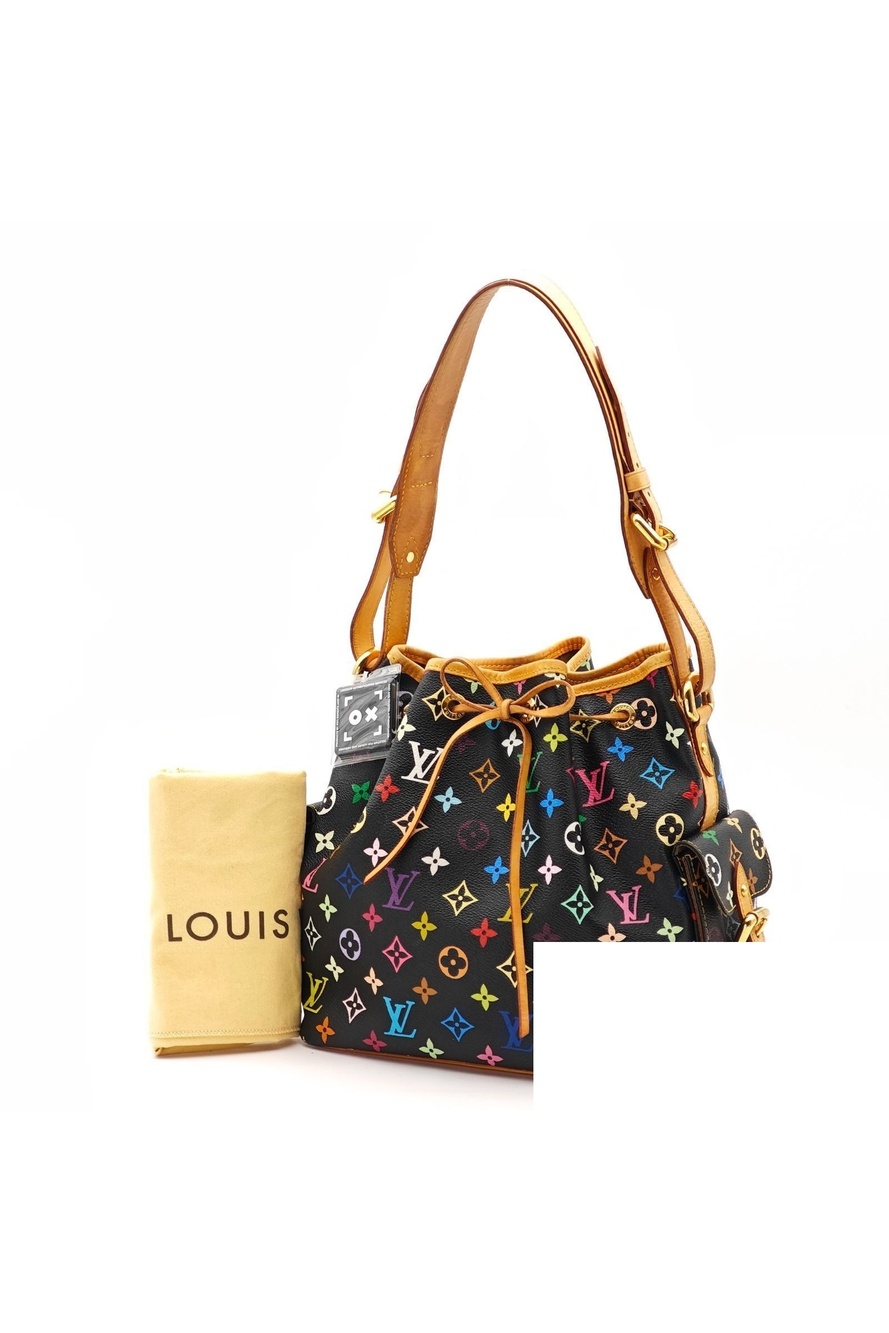 Louis Vuitton Multicolor Petit Noe Bucket Bag Colorful Black